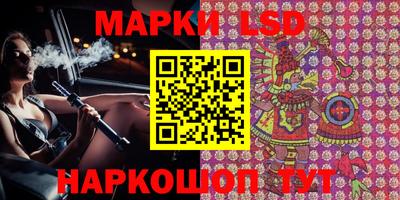 крисы Новодвинск