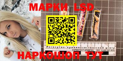 mdma Новозыбков