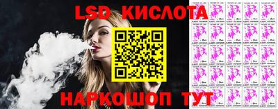 крисы Новодвинск