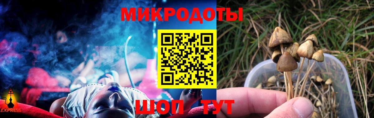 Галлюциногенные грибы Magic Shrooms Томск