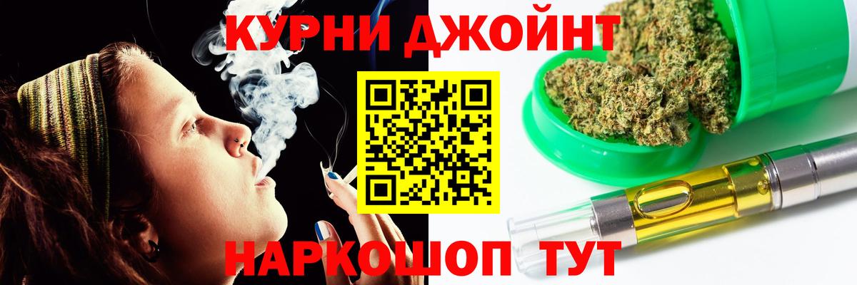 Каннабис план Томск